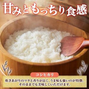 令和7年産 コシヒカリ 無洗米 10kg×1袋 長野県産 米 白米 精米 お米 ごはん ライス 甘み 農家直送 産直 信州 人気 ギフト 時短 お取り寄せ 平林農園 送料無料 長野県 大町市