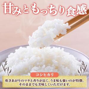 令和7年産 コシヒカリ 白米 10kg×1袋 長野県産 米 精米 お米 ごはん ライス 甘み 農家直送 産直 信州 人気 ギフト お取り寄せ 平林農園 送料無料 長野県 大町市