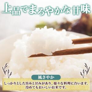 令和7年産 風さやか 無洗米 10kg×1袋 長野県産 米 白米 精米 お米 ごはん ライス 甘み 農家直送 産直 信州 人気 ギフト 時短 お取り寄せ 平林農園 送料無料 長野県 大町市