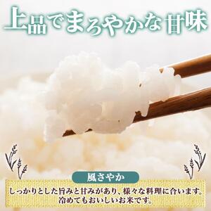 令和7年産 風さやか 白米 10kg×1袋 長野県産 米 精米 お米 ごはん ライス 甘み 農家直送 産直 信州 人気 ギフト お取り寄せ 平林農園 送料無料 長野県 大町市