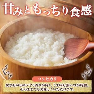 令和7年産 コシヒカリ 風さやか 無洗米 各5kg 長野県産 米 白米 精米 お米 ごはん ライス 甘み 農家直送 産直 信州 人気 ギフト 時短 お取り寄せ 平林農園 送料無料 長野県 大町市