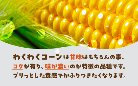 《先行予約》大橋農園のトウモロコシ わくわくコーン 12本 大きい とうもろこし