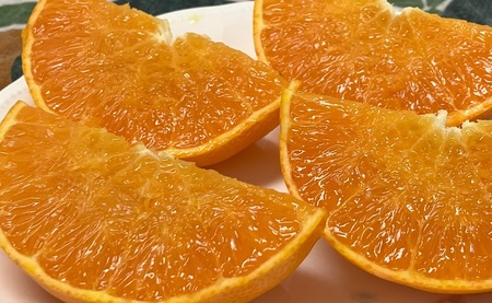 【2027年先行予約】みかん 愛媛県 せとか 2kg ご家庭用 訳あり レッスルファーム 【2027年1月下旬より順次発送】 数量限定 おすすめ 美味しい おいしい グルメ フルーツ くだもの 愛媛県産 人気 柑橘 伊予市｜A105