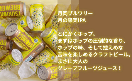  地ビール ＼月岡ブルワリー 月の果実   IPA／  地ビール 350ml 6本  shinbo013