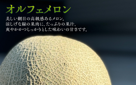 【先行予約】オルフェメロン 4玉 メロン すず農園