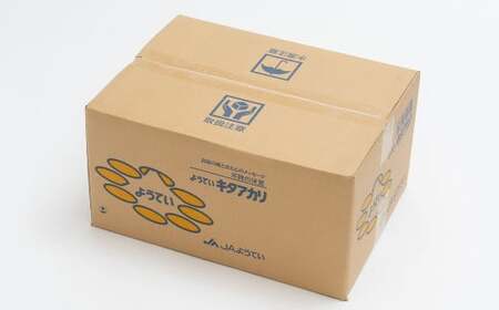 じゃがいも キタアカリ Lサイズ 約10kg×2箱 計約20kg （JA） ジャガイモ 芋 いも イモ 国産 【2026年9月下旬～12月下旬迄発送予定】