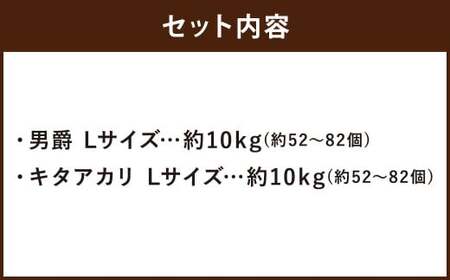じゃがいも 男爵 キタアカリ  Lサイズ 各約10kg×1箱 計約20kg （JA） ジャガイモ 芋 いも イモ 食べ比べ 食べくらべ セット 国産 【2026年9月下旬～12月下旬迄発送予定】