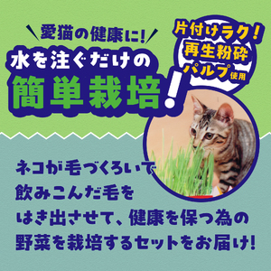 猫草栽培セット ミーちゃんスッキリ 生野菜 2パック×10個 ねこくさ 毛玉対策 猫 ペット ペット用品 お手入れ用品 植物 富士市 [sf002-386]