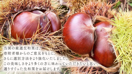 厳選 生和栗 2kg 【庄七農園】 栗 