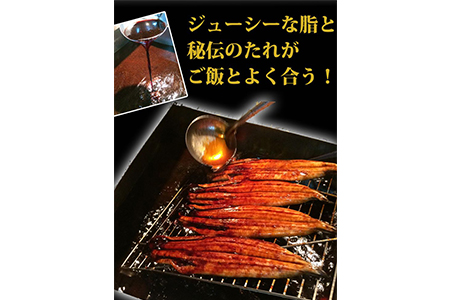 大型サイズ　 ふっくら柔らか国産うなぎ蒲焼き　約２人前　化粧箱入◆｜うなぎ うなぎ うなぎ うなぎ