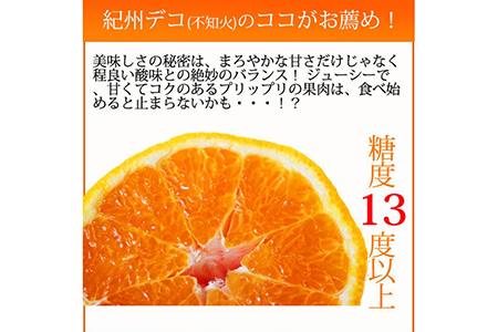 果肉プリプリ♪　完熟紀州デコ(不知火) 約3kg｜柑橘 不知火 デコポン みかん フルーツ 果物 旬 先行予約 でこぽん 国産 産地直送 完熟 一級品  美浜町