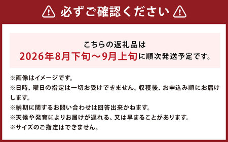 スイートコーン 味来 2Lサイズ 13本入×2箱 計26本 （JA） コーン とうもろこし トウモロコシ 国産 冷蔵 【2026年8月下旬～9月上旬迄発送予定】