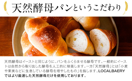 天然酵母 塩パン 10個 セット パン ローカルベーカリー《7-14営業日以内に出荷予定(土日祝除く)》焼きたてを急速冷凍 手作り 天然酵母パン 朝ごはん おやつ 軽食 ランチ 北海道 本別町