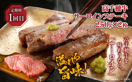 【3か月定期便】 高千穂牛ステーキ定期便 牛肉 肉 お肉 サーロイン ステーキ 赤身 赤身ブロック 定期便 定期 国産牛 ブランド牛 和牛 ローストビーフ  ハンバーグ 国産 贈答 贈り物 簡単調理 おかず 普段使い 宮崎県 高千穂 _Tk002-t083