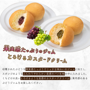 【三原・竹原共通返礼品】八天堂ファーム　果実なくりーむパンぶどう2種セット 計16個（果実なくりーむパン シャインマスカット×8個、果実なくりーむパン 赤ぶどう×8個） クリームパン フルーツ ぶどう マスカット くりーむ 菓子パン 203002