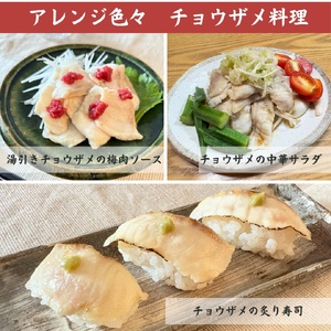 珍しいチョウザメのしゃぶしゃぶ！ 倉吉蝶鮫 切り身200g ／ 国産 ちょうざめ チョウザメ しゃぶしゃぶ 倉吉市
