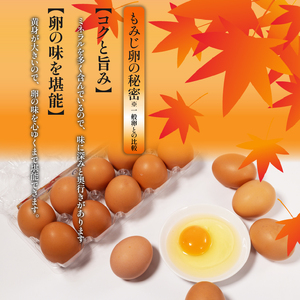 卵 もみじ卵 計30個(10個×3パック) ※割れ保証5個含む 愛媛県 松山市【VEG091】たまご