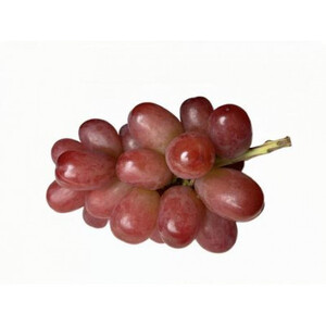 我が道 2房 ＜2026年9月より順次発送＞ (県内共通返礼品:かすみがうら市産) 先行予約 ぶどう ブドウ 葡萄 フルーツ 茨城 新鮮 (BR116)