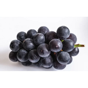 ナガノパープル 700g × 1房 ＜2026年8月より順次発送＞ (県内共通返礼品:かすみがうら市産) 先行予約 ぶどう ブドウ 葡萄 フルーツ 茨城 新鮮 (BR179)