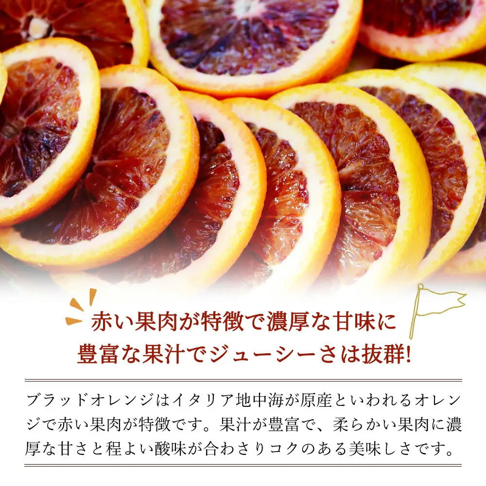 希少な柑橘!紀州有田産ブラッドオレンジ約5kg 【ご家庭用】※2027年3月上旬頃〜3月下旬頃に順次発送 (お届け日指定不可) 【uot853】