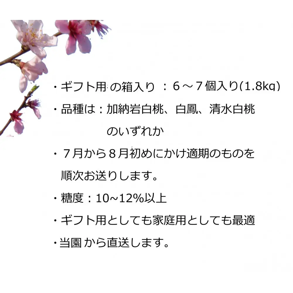 【先行予約】ふるさと納税 岡山市 桃 6-7個（約1.8kg）万と美桃園