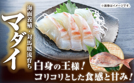【全2回定期便】壱岐産 高級魚 刺身 4種セット 計195g（トラフグ・ヒラメ・ヒラマサ・真鯛）[JDT082]