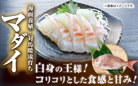 【全6回定期便】壱岐産 高級魚 刺身 4種セット 計195g（トラフグ・ヒラメ・ヒラマサ・真鯛）[JDT084]