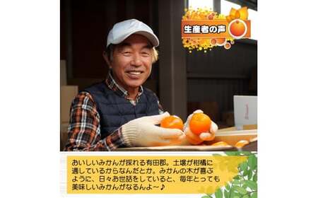 【ふるさと納税】有田 みかん しにせの味 (1kg) サイズお任せ / 温州みかん 有田みかん 甘い 和歌山 柑橘 ※2026年11月上旬～翌年2月中旬頃に順次発送予定 【tkf004-r-1】