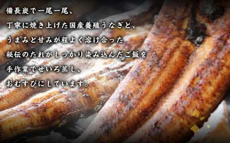 うなぎ せいろ蒸し うなむすび 各2個 うなぎ 鰻 九州産 国産