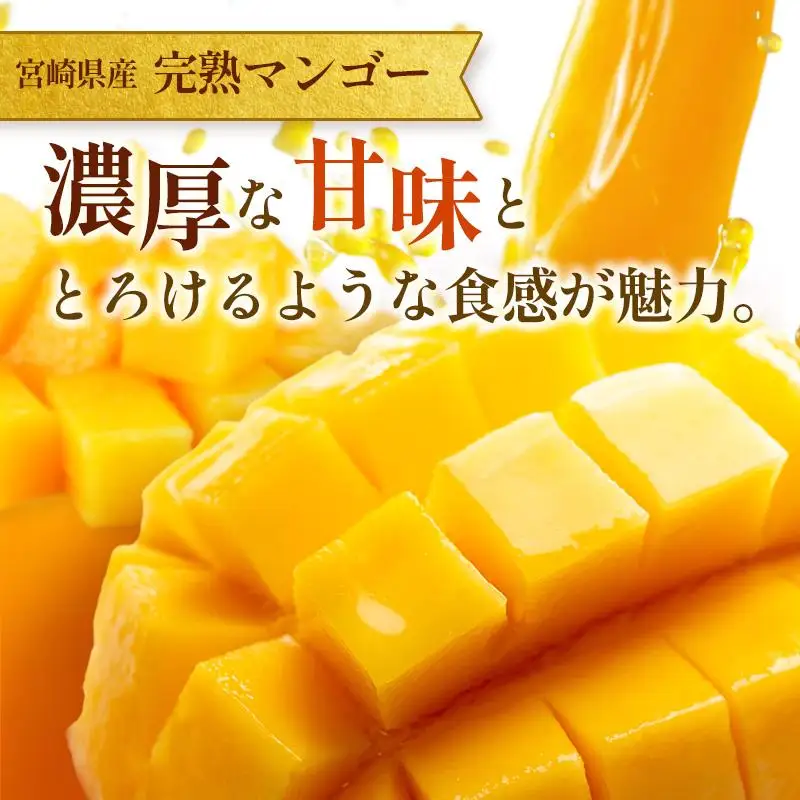 訳あり 完熟 マンゴー 約1.5kg （3玉～5玉） 宮崎県産 果物 フルーツ