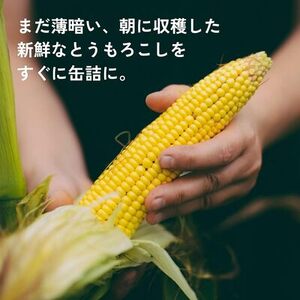 日食 北海道産スイートコーン(ホールカーネル)（230g缶×24）（A23）