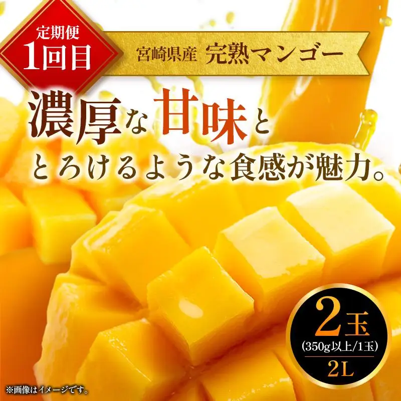 定期便 完熟マンゴー 2L×2玉 & 宮崎ブランド牛 計1kg 全2回 宮崎特産 牛肉 フルーツ 果物