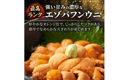 【先行予約：2026年6月以降発送】余市産最高ランク「塩水うに（エゾバフンウニ）」100g×2_Y006-0038