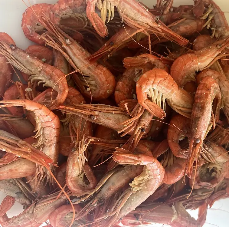 北海縞海老（シマエビ) 500g Sサイズ 40~44尾 えび しまえび 北海道しまえび エビ 海老 冷凍 ボイル済 冷凍