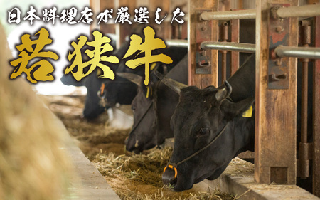 若狭牛A5ランク すき焼きセット（肩ロース500g 特製割下300ml）約2～3人前 [B-085008]