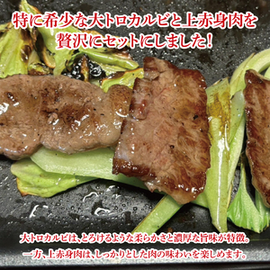 【数量限定】常陸牛 大トロカルビ100g・上赤身肉100g(MJ-1)