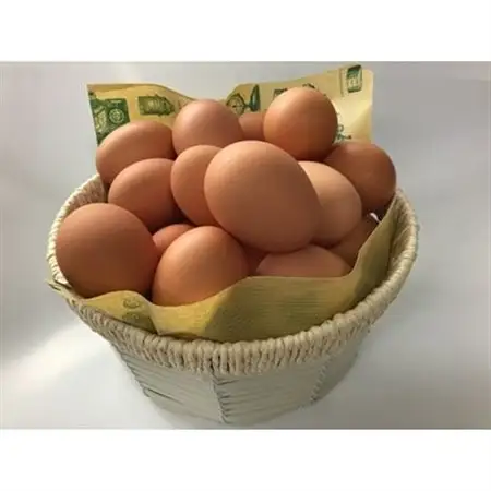 「地元ブランド」テツマEMたまご　濃厚な味わいたまご　40個入り【配送不可地域：離島】【1200616】