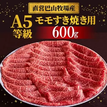三河牛(黒毛和種)A5等級モモすき焼き用600g　直営巴山牧場産【配送不可地域：離島】【1200675】