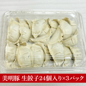 【数量限定】肉屋が作る美明豚生餃子24個入 3パック（MJ-6）
