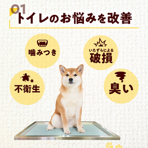 犬用ステンレス製トイレトレイ（段付きタイプ・ワイドサイズ）［068N02］