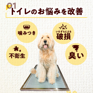 犬用ステンレス製トイレトレイ（段付きタイプ・スーパーワイドサイズ）［068N03］