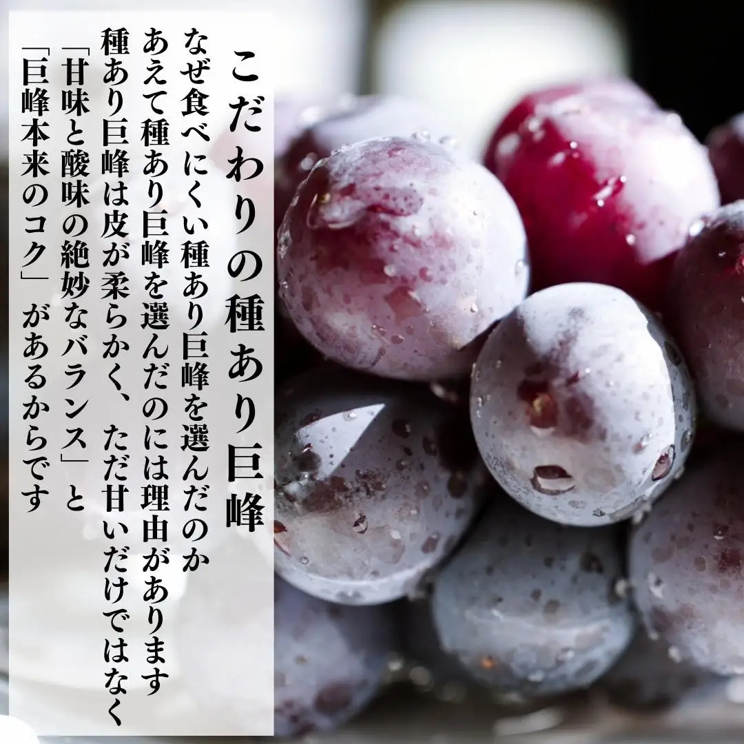 冷凍 種あり 巨峰 約1kg 秀優混合 サイズミックス 和歌山県産 産地直送 ぶどう クール便  【みかんの会】  巨峰