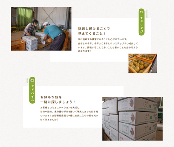 8-7 栃木県那須烏山産にっこり梨100％ジュース2本セット
