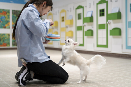 【WANCOTT】ドッグホテル利用券　10,000円分 ALN0001