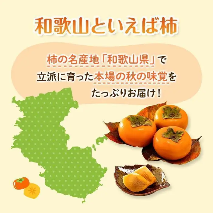 ［2026年10月上旬以降発送］◆先行予約◆ 和歌山県産 平核無柿＜ご家庭用＞約7.5kg 満杯詰め  柿 種無し たねなし ひらたね 訳あり ［MG87］