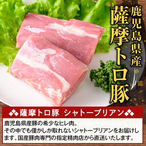 K-487-B 鹿児島県産 薩摩トロ豚 シャトーブリアン(計600g)【ふるさと産直バザール】霧島市 シャトーブリアン ヒレ肉  国産 鹿児島県産 肉 精肉