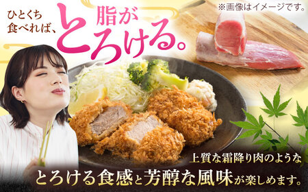 ヒレ肉 【高級部位】希少 沖縄県産豚肉 ヒレ肉 3本入り (計1.5-1.8kg)   BCAJ012 豚肉