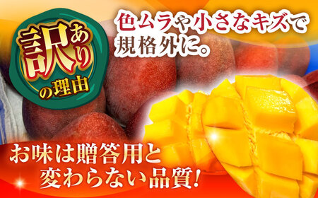 【先行予約】沖縄県産 完熟 マンゴー 訳あり 2kg (3-5玉) BCAN004