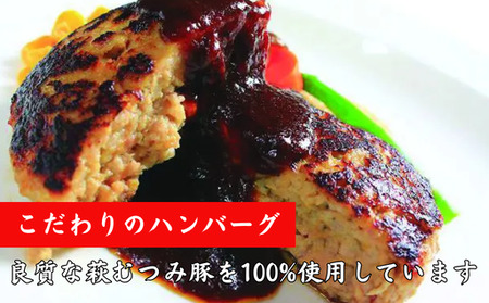 萩むつみ豚 ハンバーグ 180g×5個