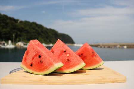 スイカ 約8kg 萩・夏の銘品 相島 西瓜 秀品 大玉すいか フルーツ 果物 果物類 贈答品 ギフト